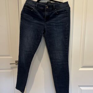 Ann Taylor Dark Indigo Skinny Jeans